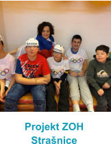 Projekt ZOH Stra�nice